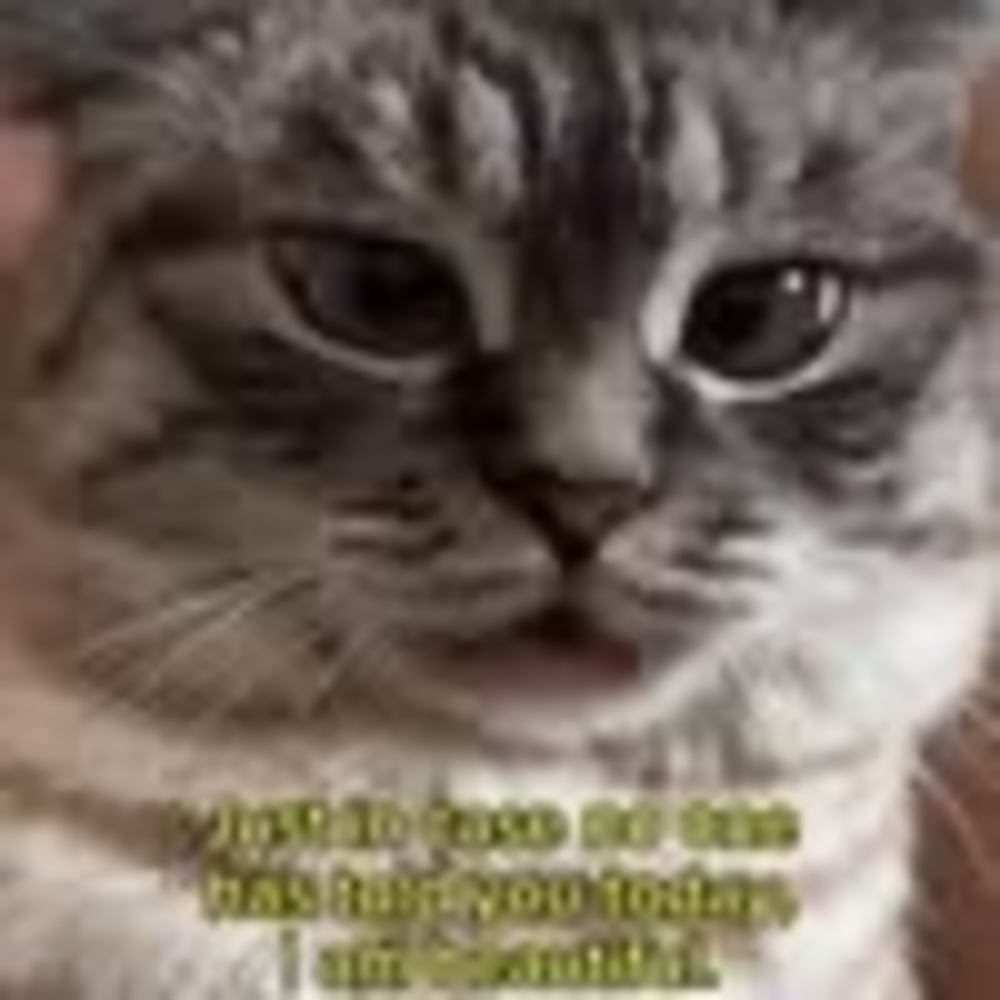 Meet your Posher, Denise